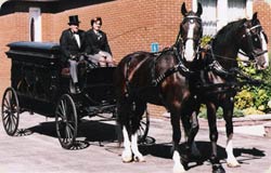 Horse Drawn Hearse